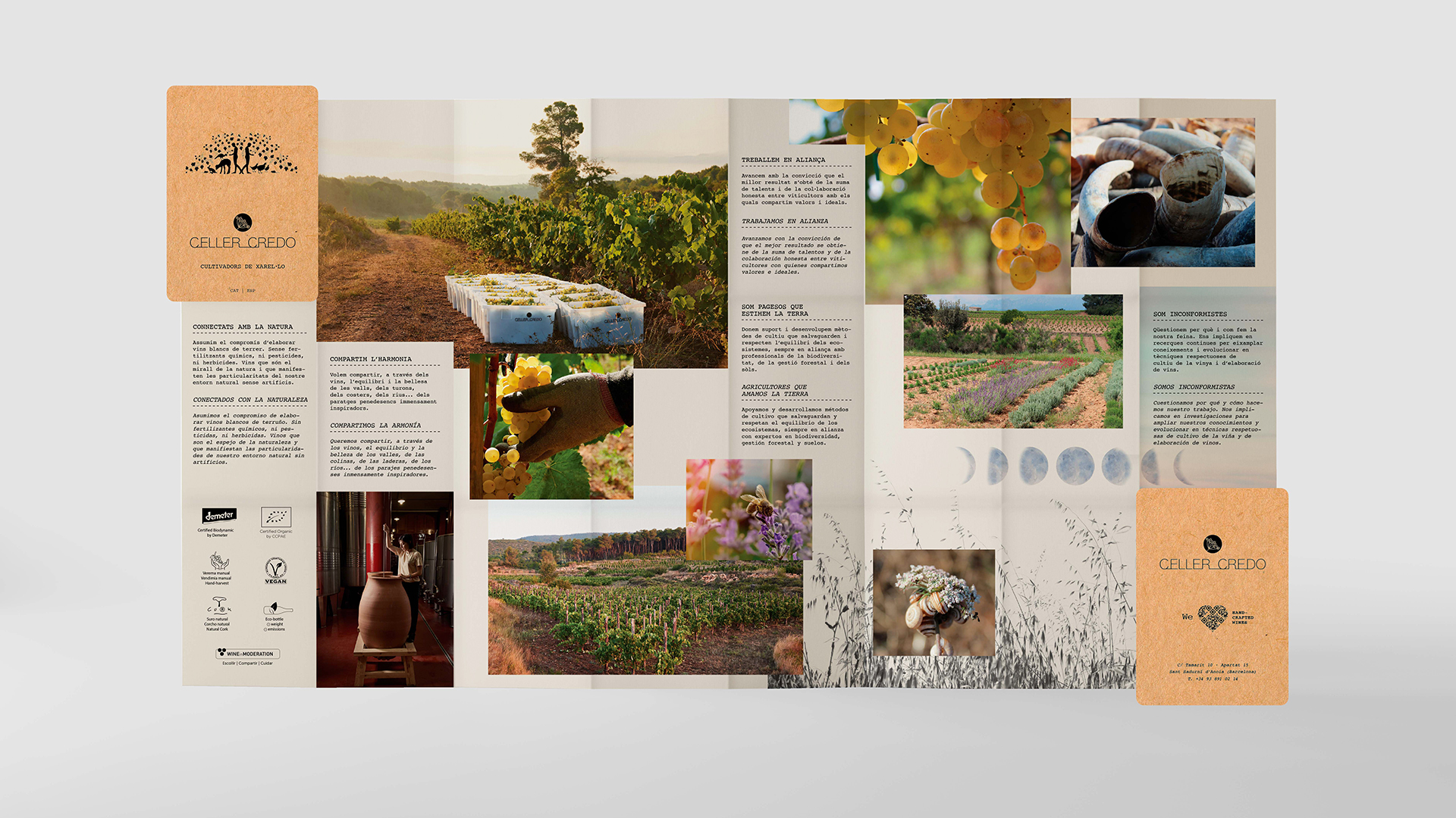mockup desplegable credo cara a
